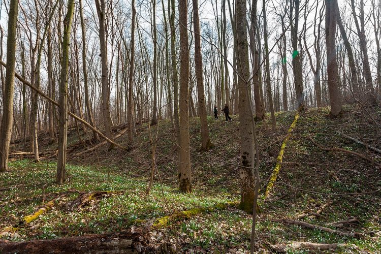 Дивовижні споруди Хмельниччини