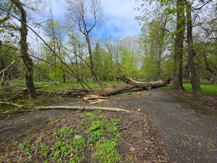 На Хмельниччині через сильні пориви вітру є обриви ліній електропередач
