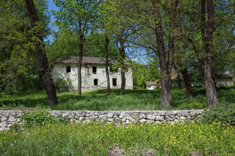 Забута спадщина: історія родини київського банкіра, що залишила слід в історії Поділля