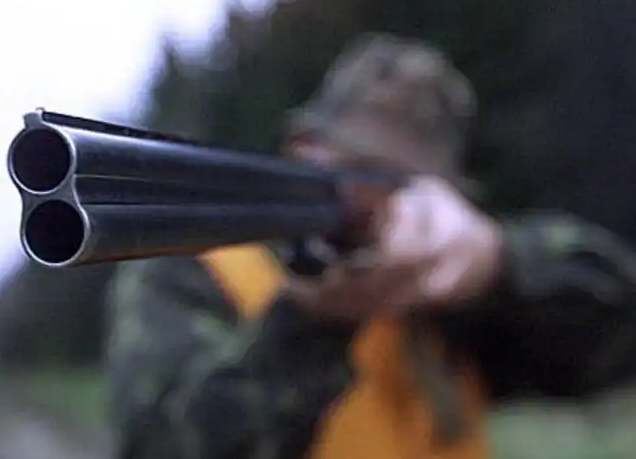 На Хмельниччині знайшли двох загиблих собак із вогнепальними пораненнями: розпочато розслідування